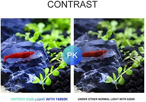 Vue 7 de Ledgle Eclairage Pour Aquarium