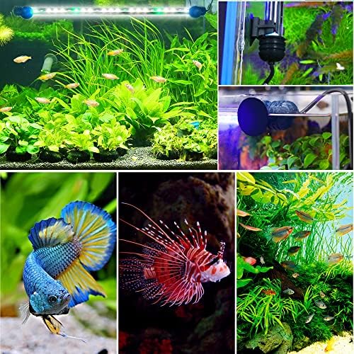 Vue 7 de Led Timer Eclairage Daquarium