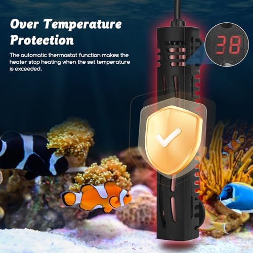 Vue 4 de Nobleza Chauffage Daquarium