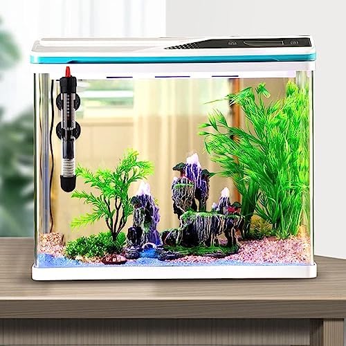 Vue 6 de Cam Chauffage Daquarium