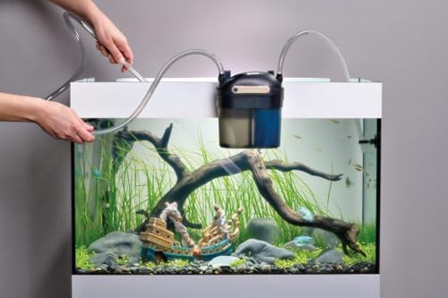 Vue 5 de Eden Pdg Gravel Cleaner