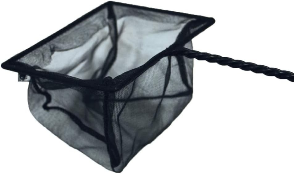 Wave Epuisette Pour Aquariophilie