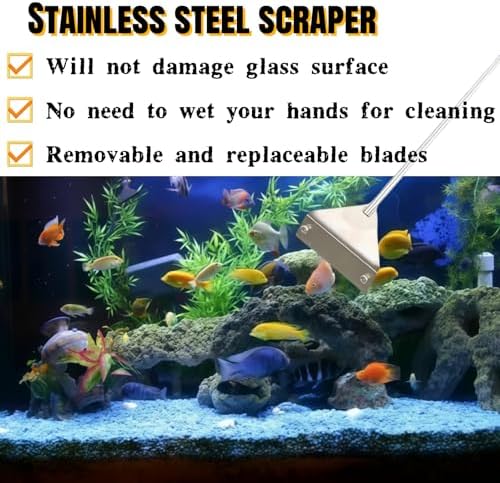 Vue 4 de Cm Grattoir Dalgues Inoxydable