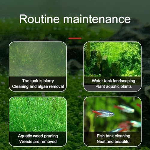 Vue 4 de Aquarium Plantes Ciseaux Cm