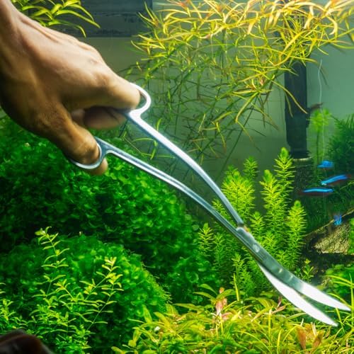 Vue 5 de Aquarium Plantes Ciseaux Cm