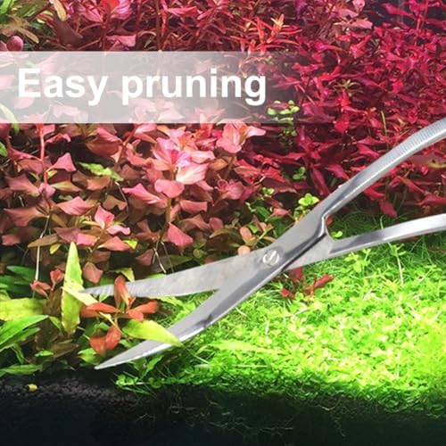 Vue 6 de Aquarium Plantes Ciseaux Cm