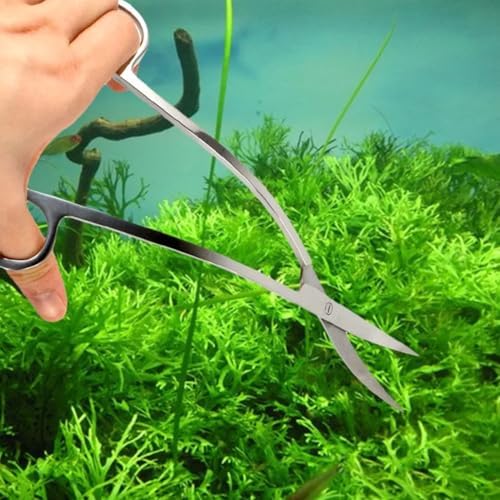 Vue 7 de Aquarium Plantes Ciseaux Cm