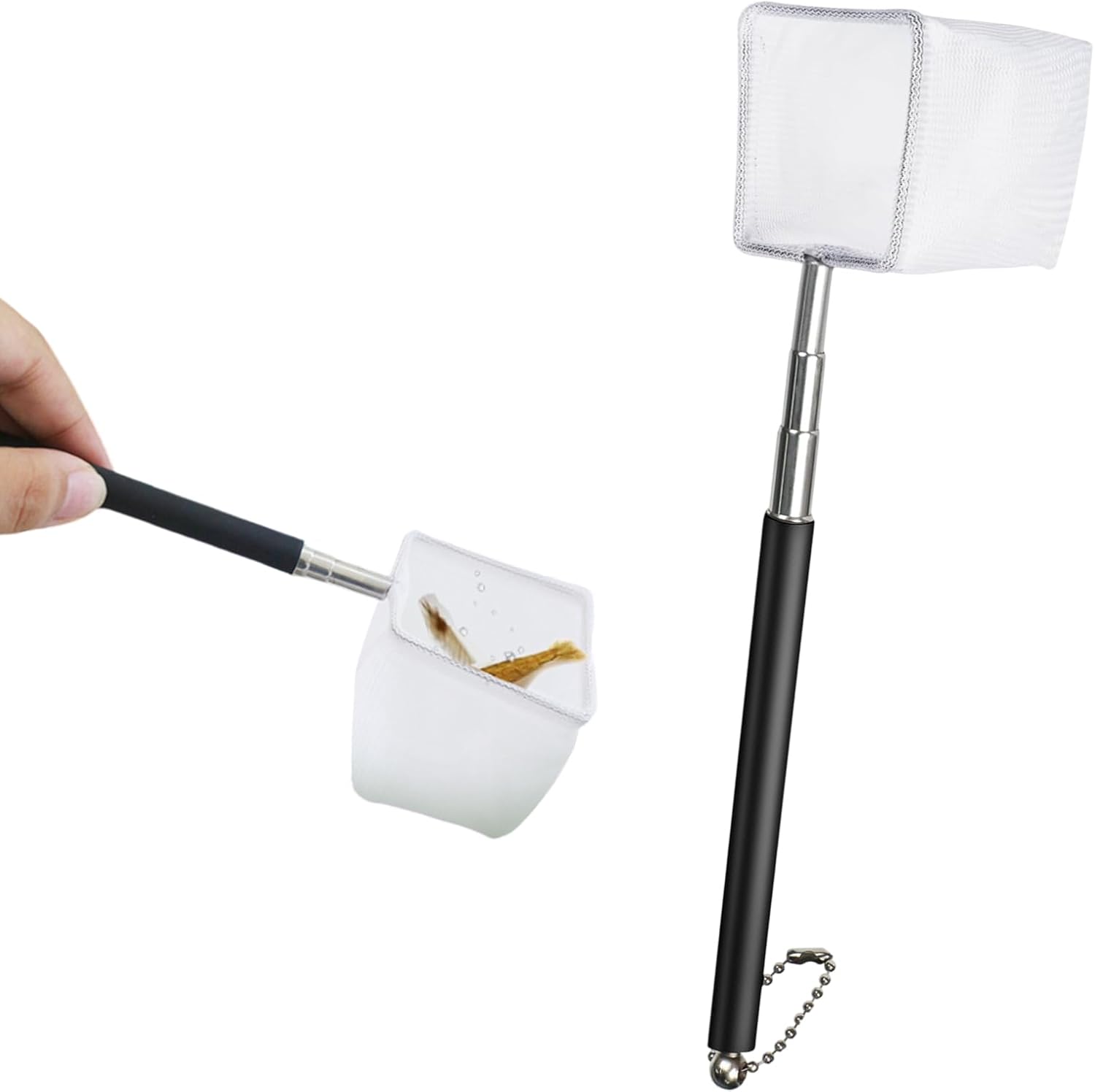 Epuisette De Crevettes Daquarium