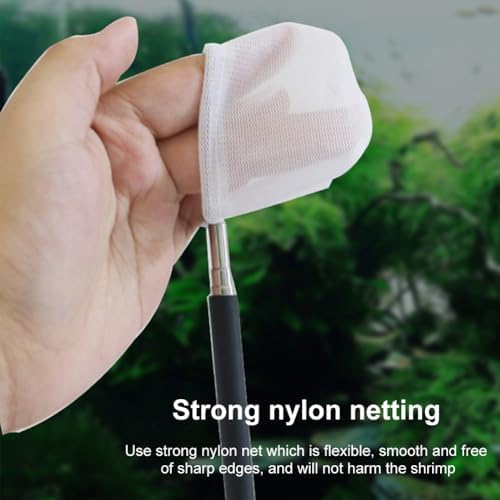 Vue 4 de Epuisette De Crevettes Daquarium