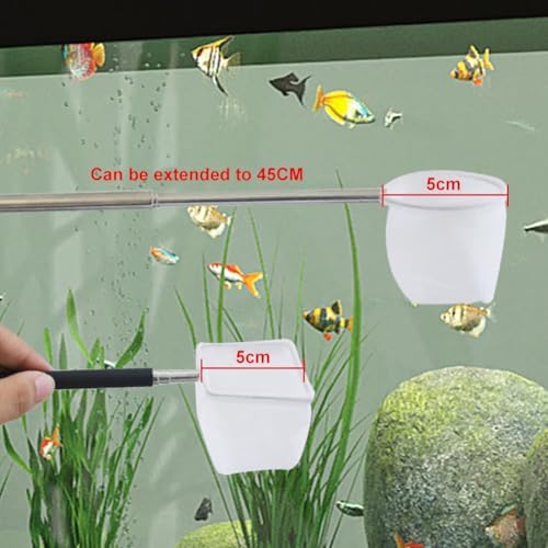 Vue 5 de Epuisette De Crevettes Daquarium