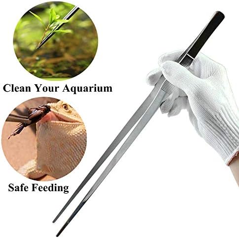 Vue 5 de Pouces En Acier Inoxydable