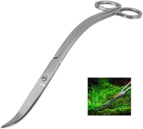 Iwobi Ciseaux Aquascaping Ciseaux