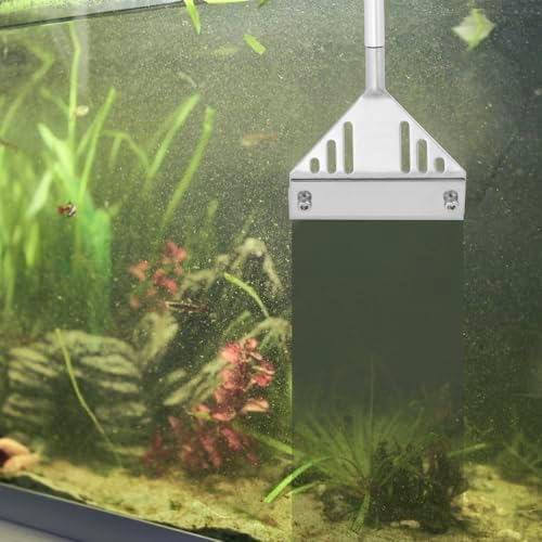 Vue 5 de Qwork Raclette Aquarium Grattoir
