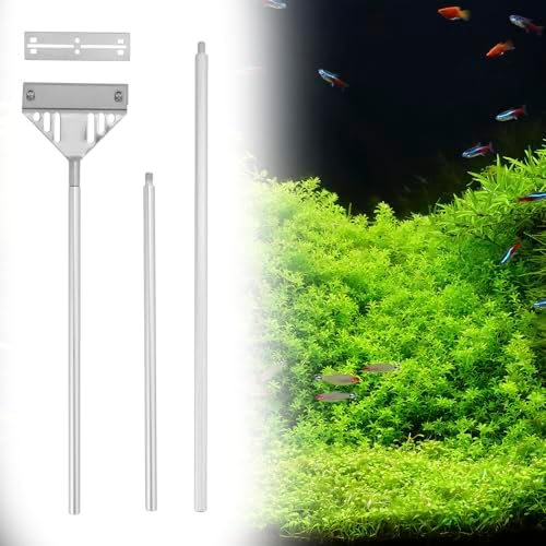 Vue 6 de Qwork Raclette Aquarium Grattoir