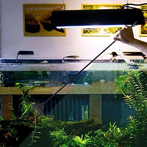 Vue 4 de Kiuiom Grattoir Alguesnettoyeur