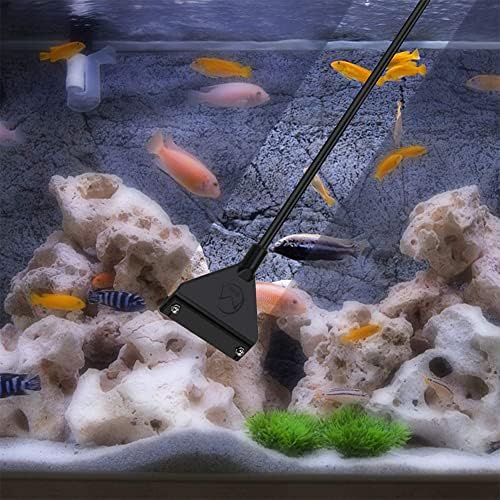 Vue 6 de Kiuiom Grattoir Alguesnettoyeur