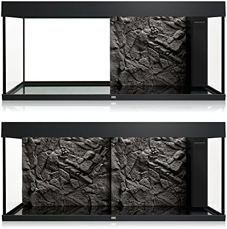 Vue 4 de Juwel Fond De Decor