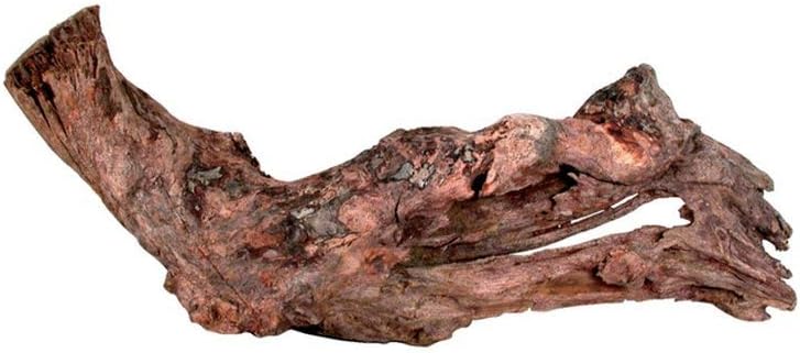 Zolux Racine Mangrove