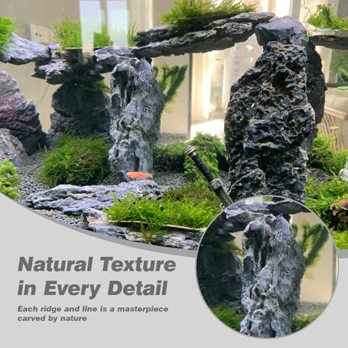 Vue 3 de Unocho Pierres Daquarium Seiryu