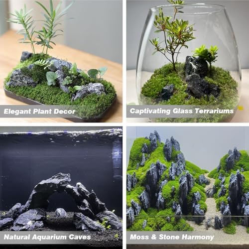 Vue 4 de Unocho Pierres Daquarium Seiryu