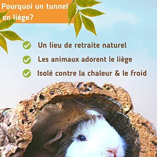 Vue 4 de Superbe Tunnel En Liege