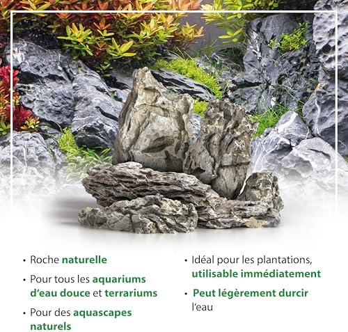 Vue 6 de Arka Myscaperocks Seiryu Pierres