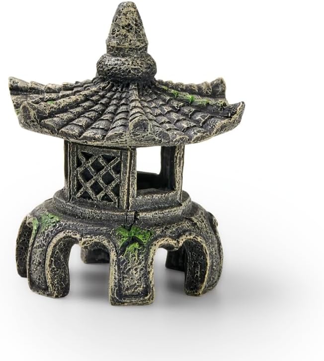 Eden Temple Asiatique