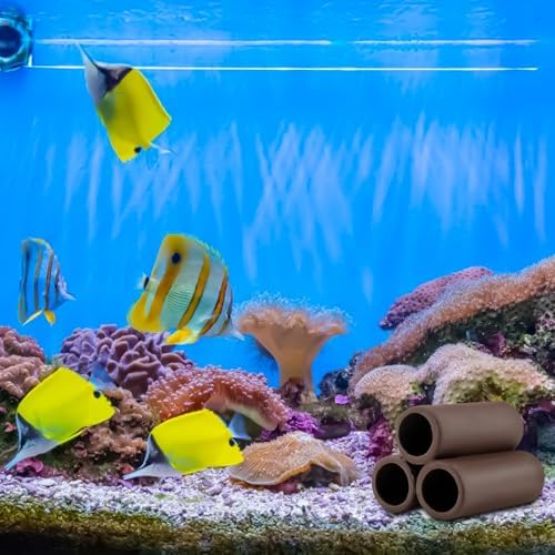 Vue 6 de Lot De Cachettes En