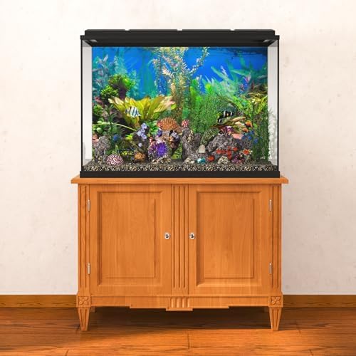 Vue 4 de Xcm Fond Daquarium Plante