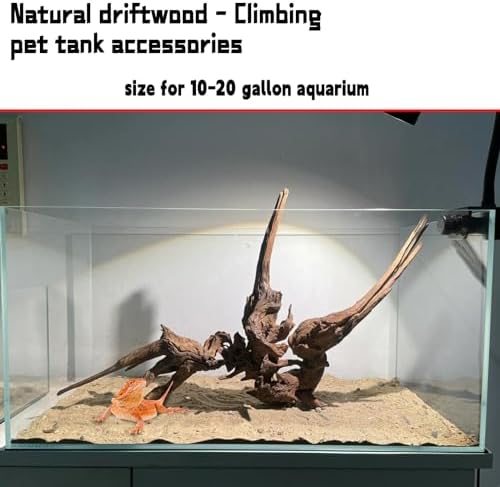 Vue 4 de Hamiledyi Grand Bois Flotte