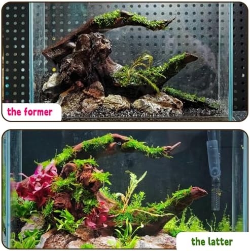 Vue 5 de Hamiledyi Grand Bois Flotte