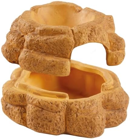 Vue 4 de Exo Terra Big Rock