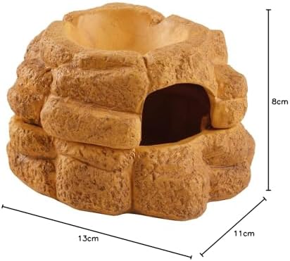 Vue 6 de Exo Terra Big Rock