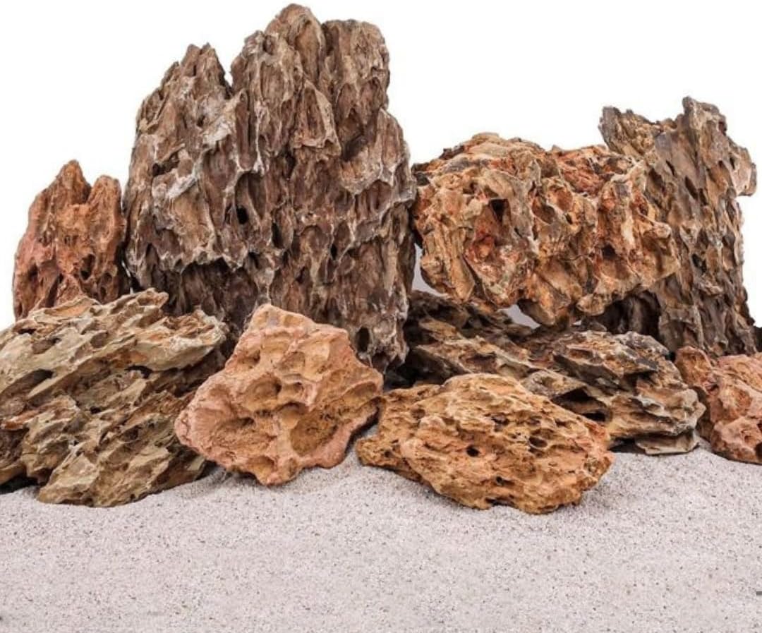 Aquaone Pierre Daquarium Pierre