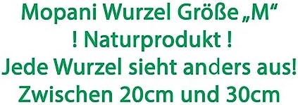 Vue 2 de Mopani Racine Taille