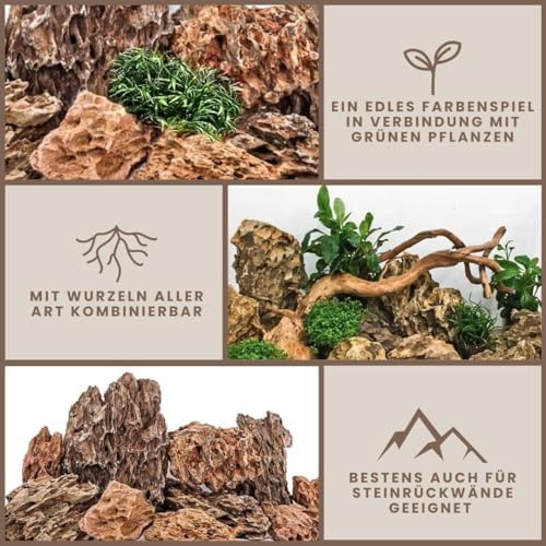 Vue 2 de Aquaone Pierre Daquarium Pierre