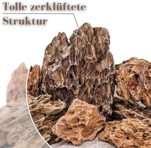 Vue 4 de Aquaone Pierre Daquarium Pierre