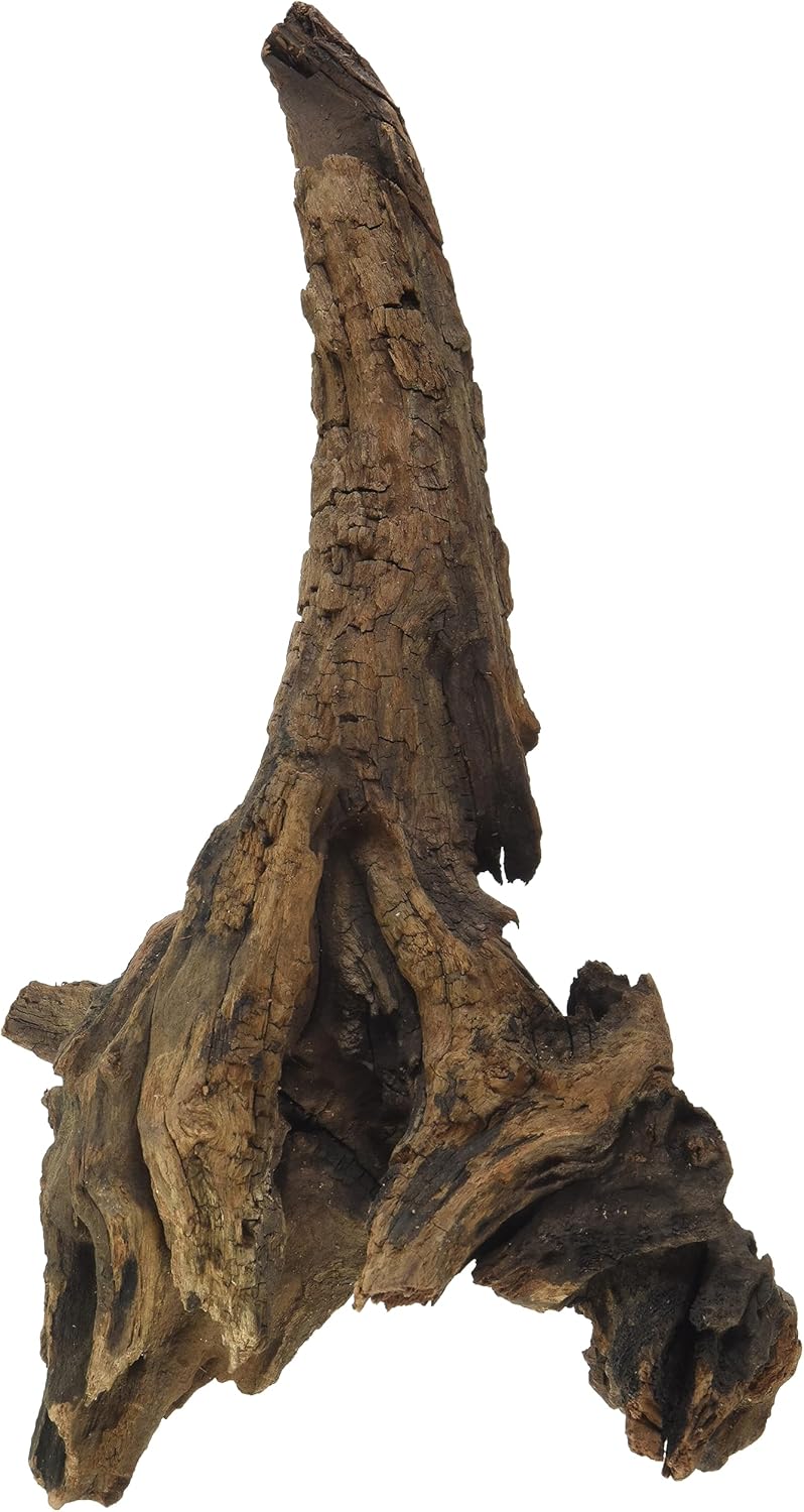 Amtra Mystic Bois Pour