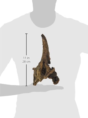 Vue 5 de Amtra Mystic Bois Pour