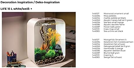 Vue 5 de Biorb Jeu De Boules