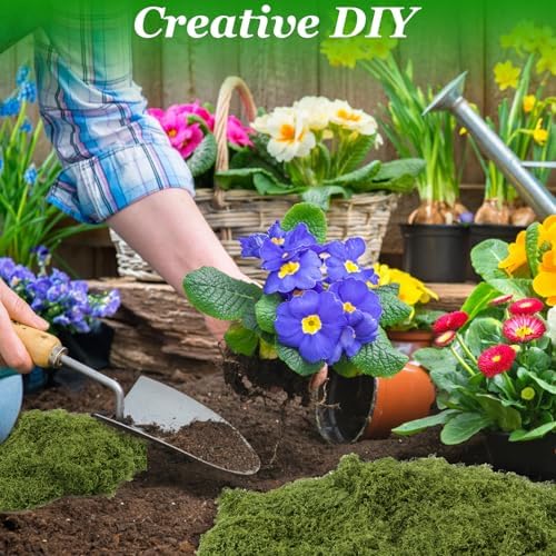 Vue 5 de De Mousse Artificielle