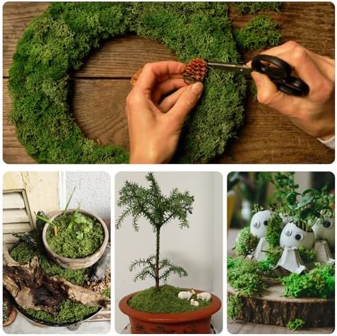 Vue 6 de De Mousse Artificielle