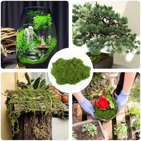 Vue 7 de De Mousse Artificielle