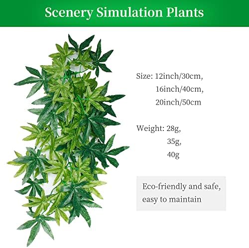 Vue 4 de Dsoar Cmin Plantes Daquarium