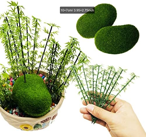 Vue 5 de Woohome Pcs Bambou Modele