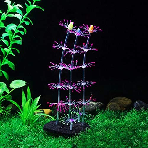 Vue 5 de Cayway Pcs Plante Aquarium