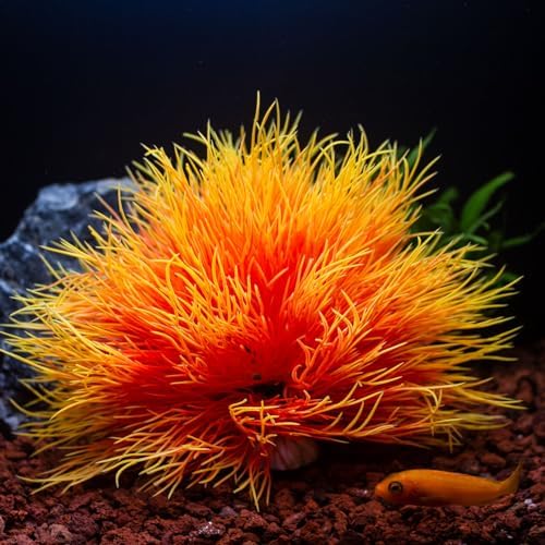 Vue 3 de Plantes Pour Aquarium Plastique