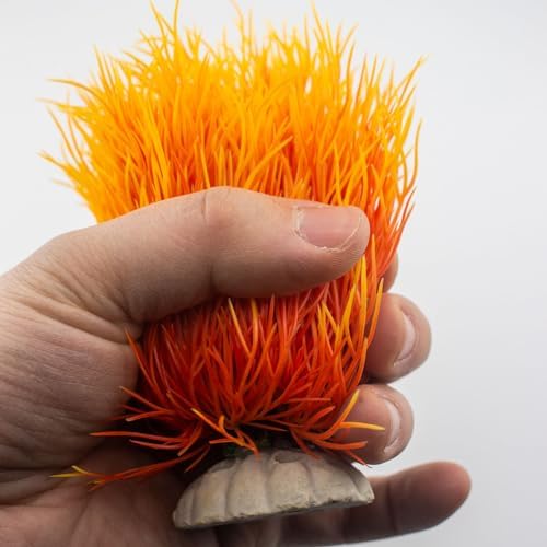 Vue 5 de Plantes Pour Aquarium Plastique