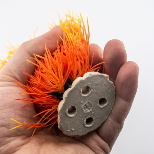 Vue 6 de Plantes Pour Aquarium Plastique