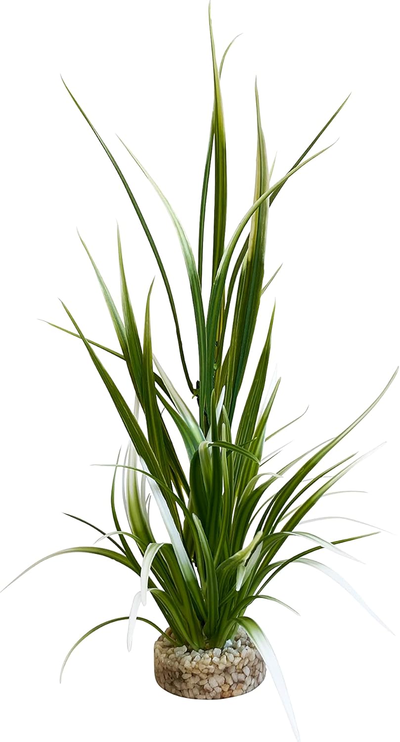 Tyrol Plantes Aquatiques Artificielles